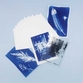 PAR-cyanotype-kit--4