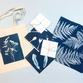 PAR-cyanotype-kit-fabric-4