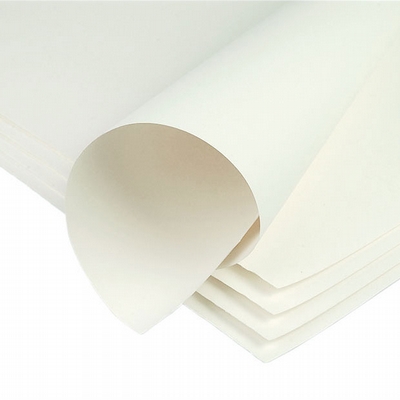 Schut Schut olieverfpapier 50x65 240grs. 10vel
