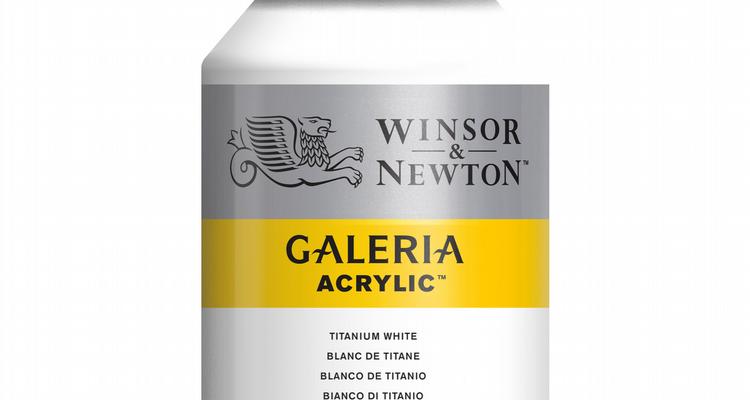 Winsor & Newton Galeria Pasta Modellante Flessibile 1 L-1 l (Confezione da 1 Winsor & Newton Galeria Pasta Modellante Flessibile 1 L-1 l (Confezione da 1